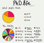 Two Fully Funded PhD Positions for August 2027 Intake