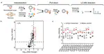 Lysophosphatidylcholine binds α-synuclein and prevents its pathological aggregation