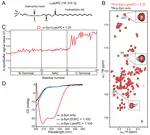 Neutral lysophosphatidylcholine mediates α-synuclein-induced synaptic vesicle clustering